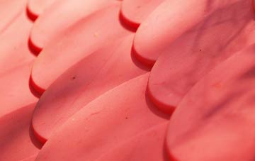 Romanby plastic roof costs