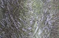 Romanby fibreglass roof work